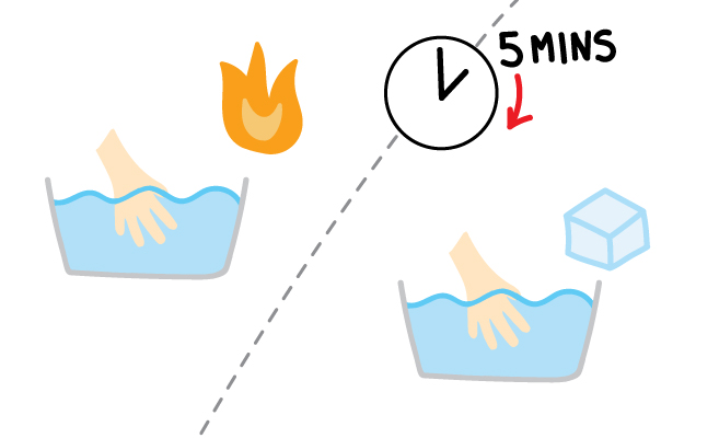 Experimental protocol